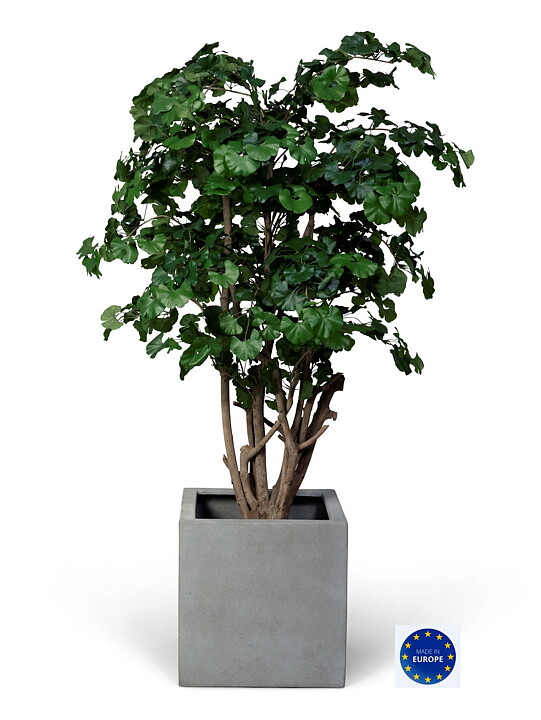 Malabar Gynkgo, planta artificial