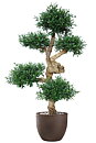 Olive Pom Pom, planta artificial