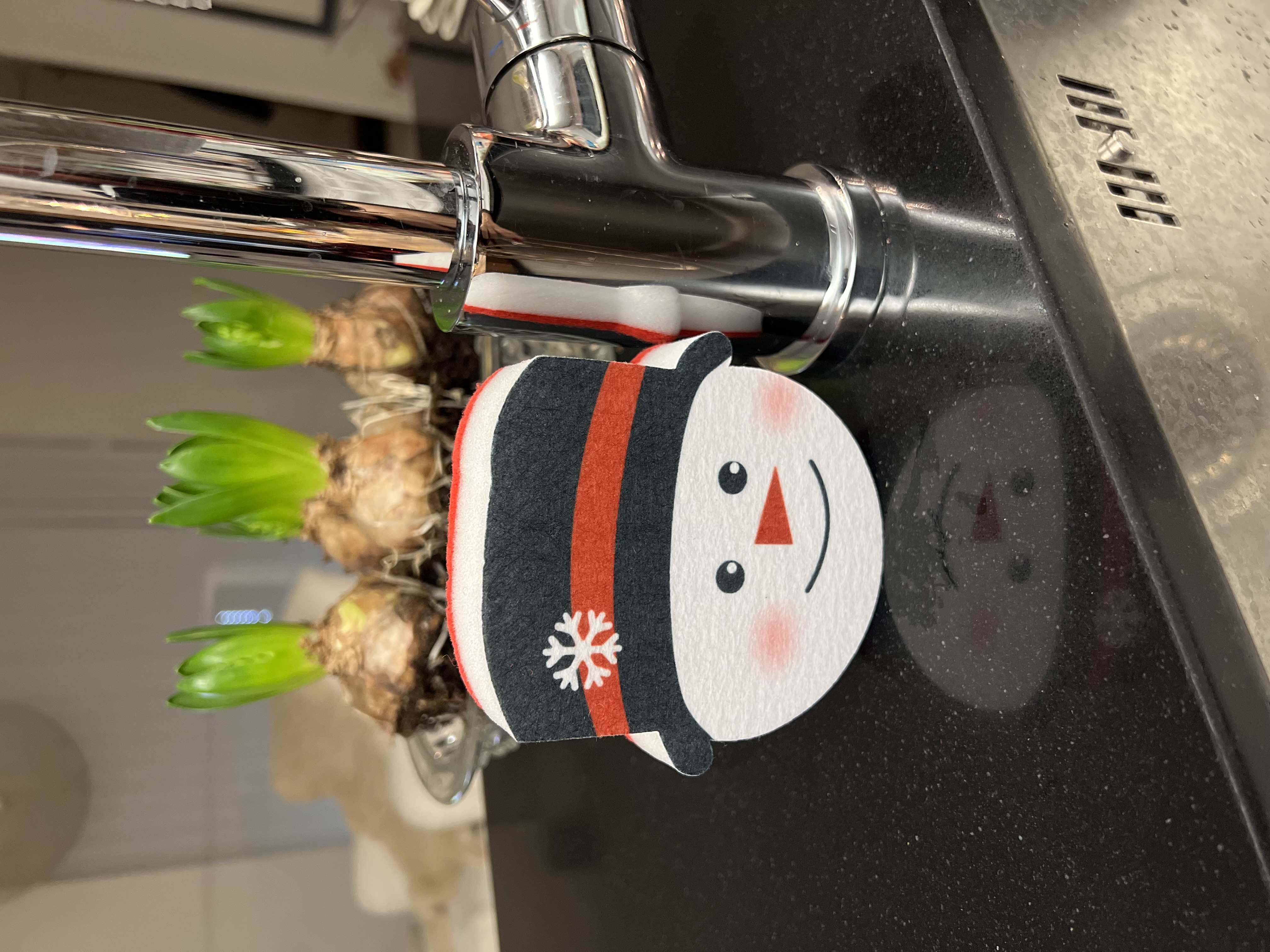 Disksvamp / Snögubbe