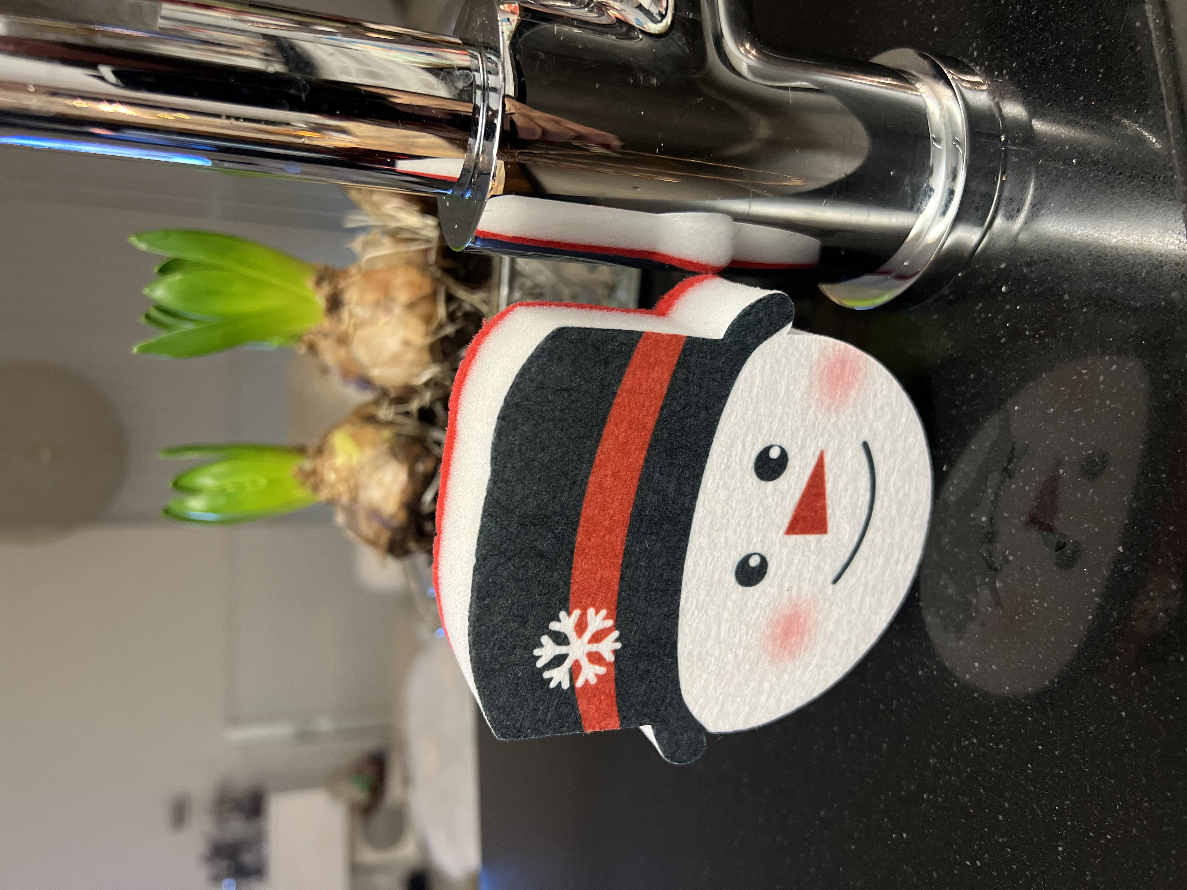 Disksvamp / Snögubbe