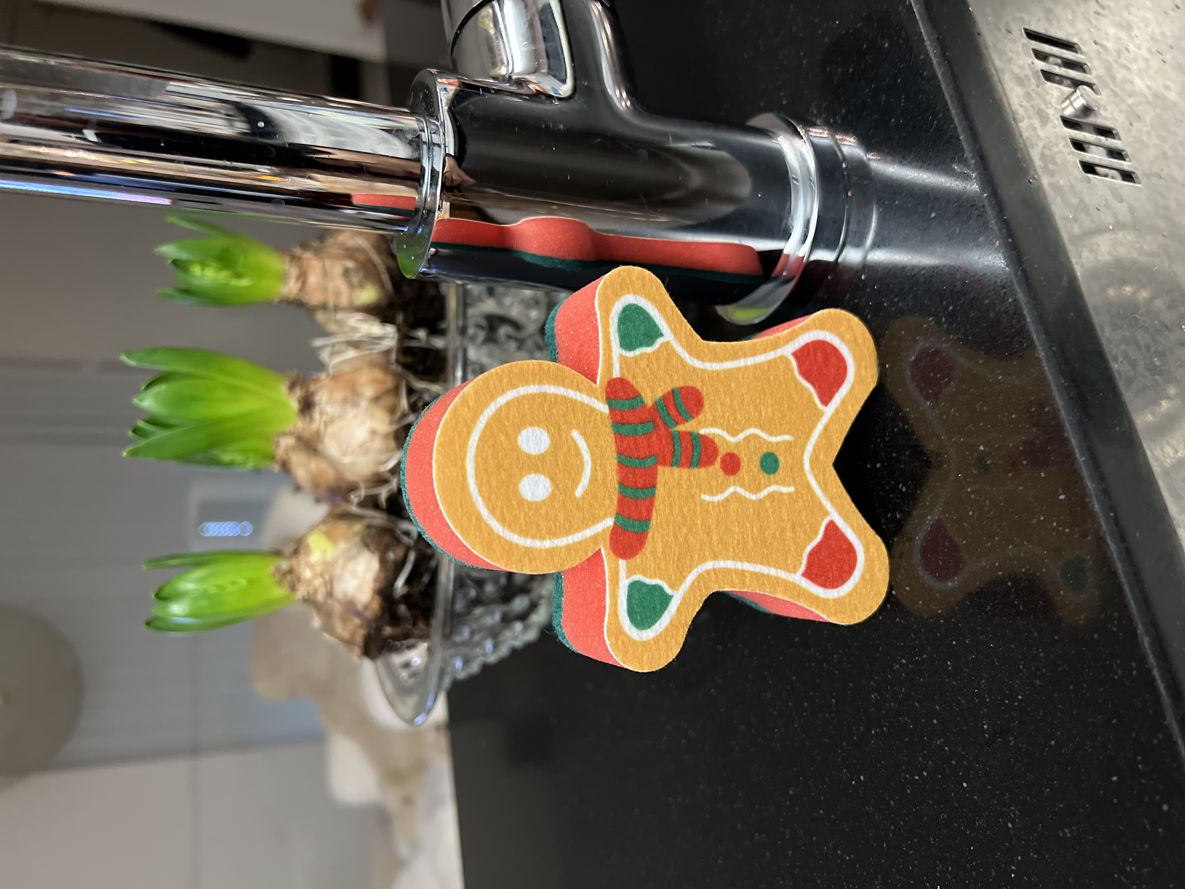 Disksvamp / Pepparkaksgubbe