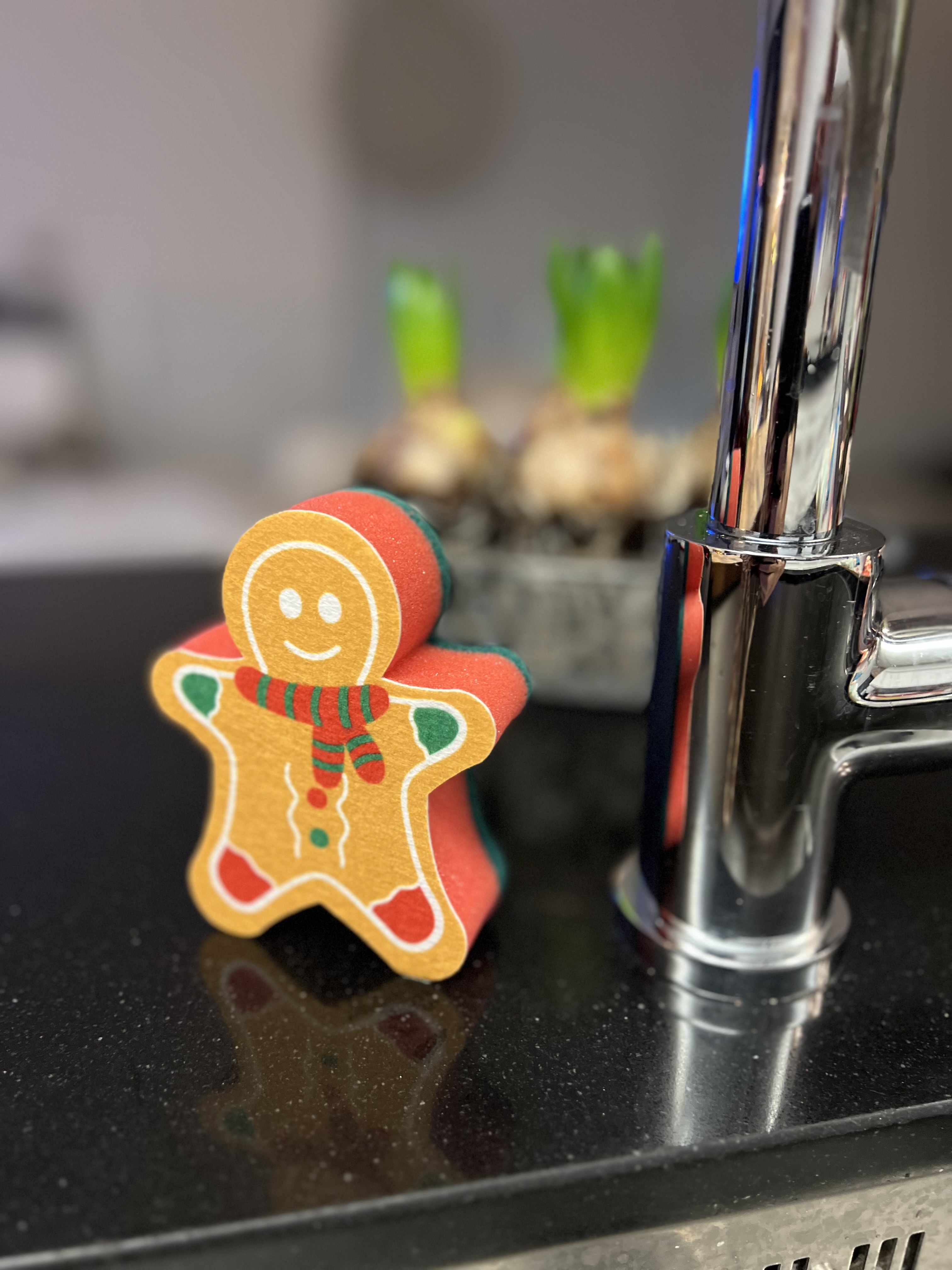 Disksvamp / Pepparkaksgubbe