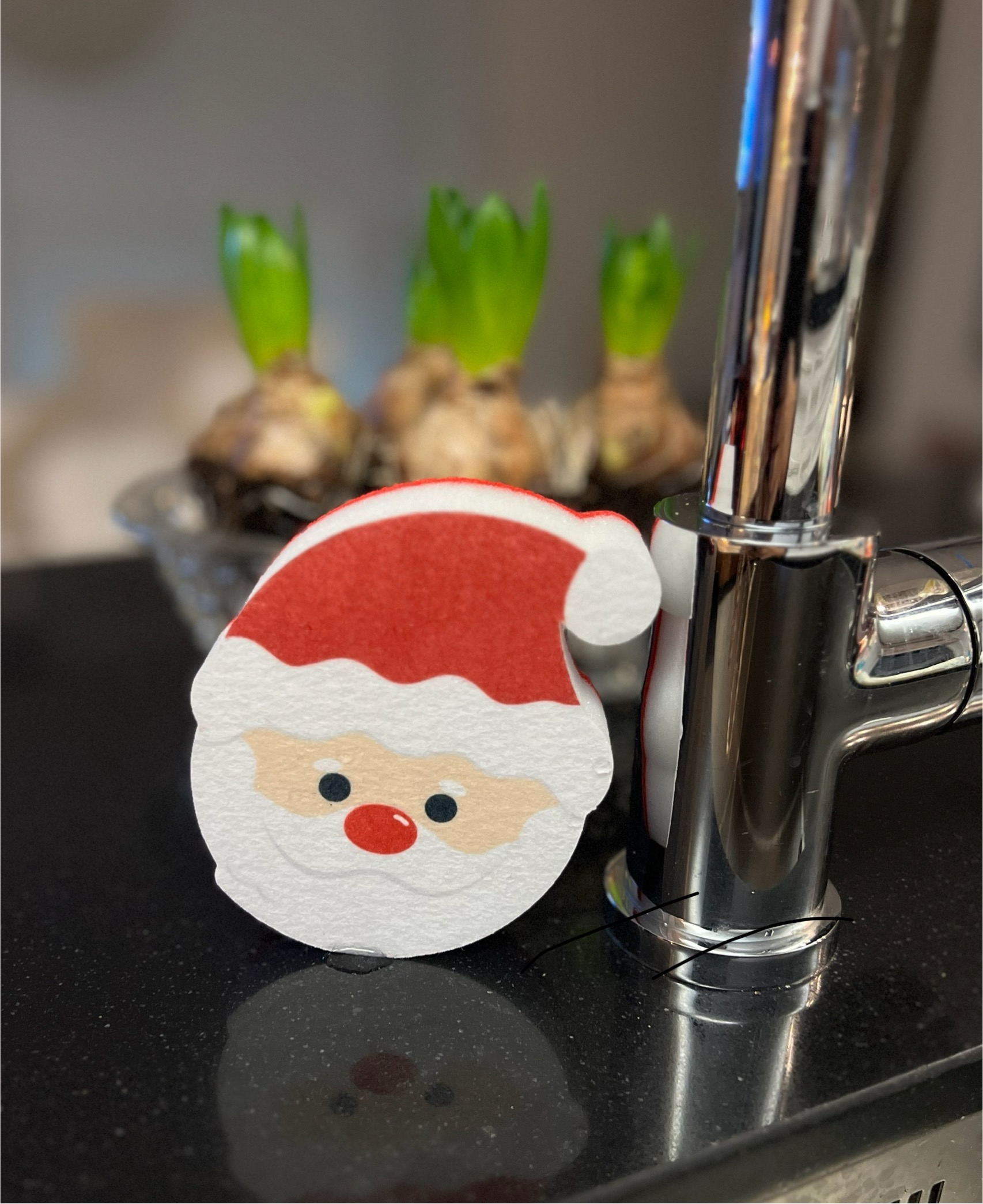Disksvamp /Tomte