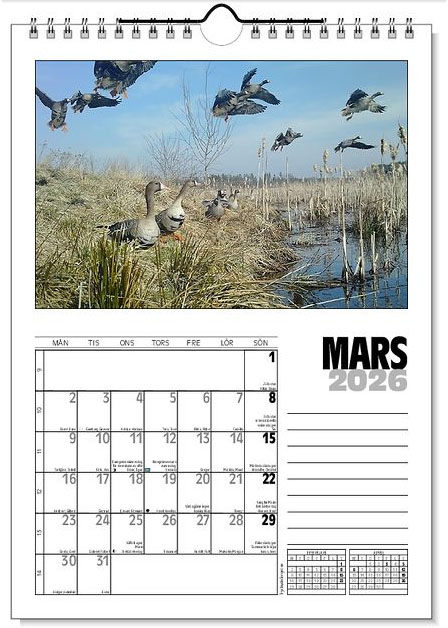 Väggkalender Viltfotografier 2026 - 4