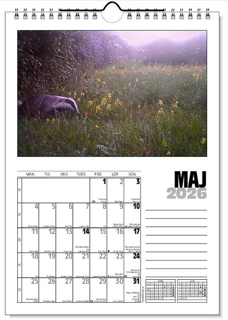 Väggkalender Viltfotografier 2026 - 6