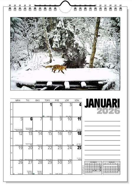 Väggkalender Viltfotografier 2026 - 2