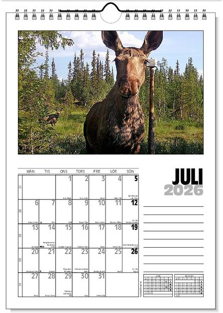 Väggkalender Viltfotografier 2026 - 8