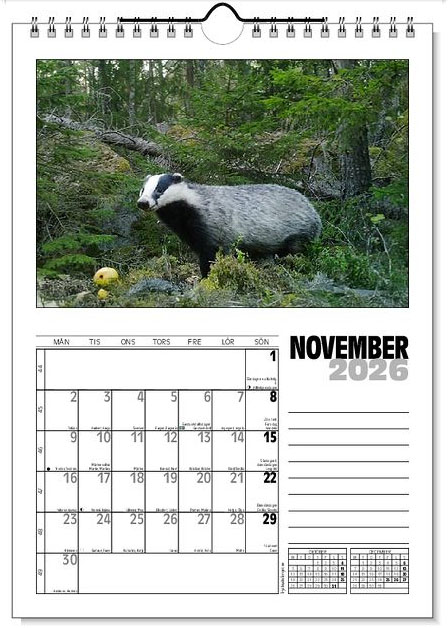 Väggkalender Viltfotografier 2026 - 12