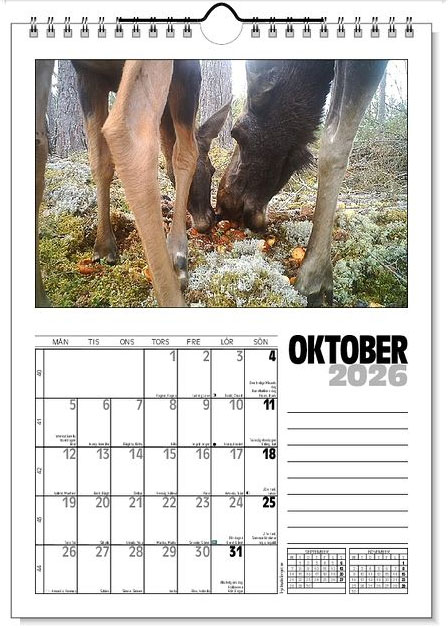 Väggkalender Viltfotografier 2026 - 11