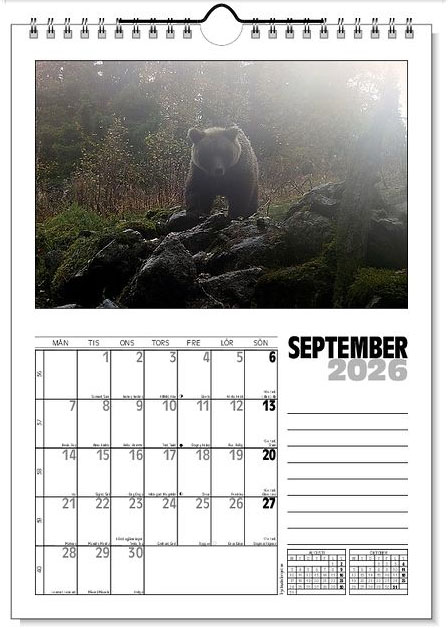 Väggkalender Viltfotografier 2026 - 10
