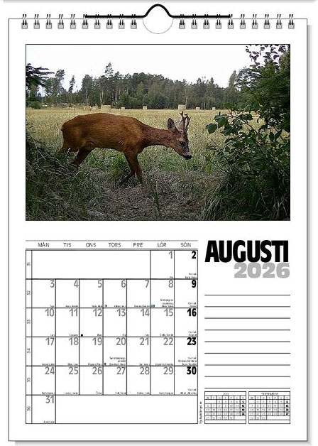 Väggkalender Viltfotografier 2026 - 9