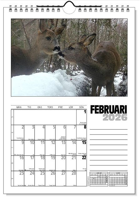 Väggkalender Viltfotografier 2026 - 3