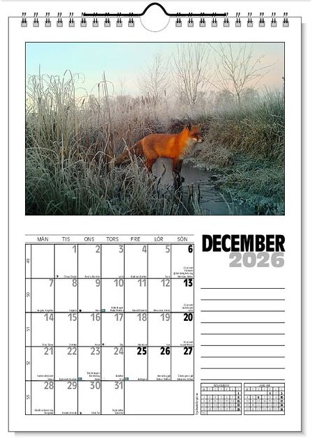 Väggkalender Viltfotografier 2026 - 13