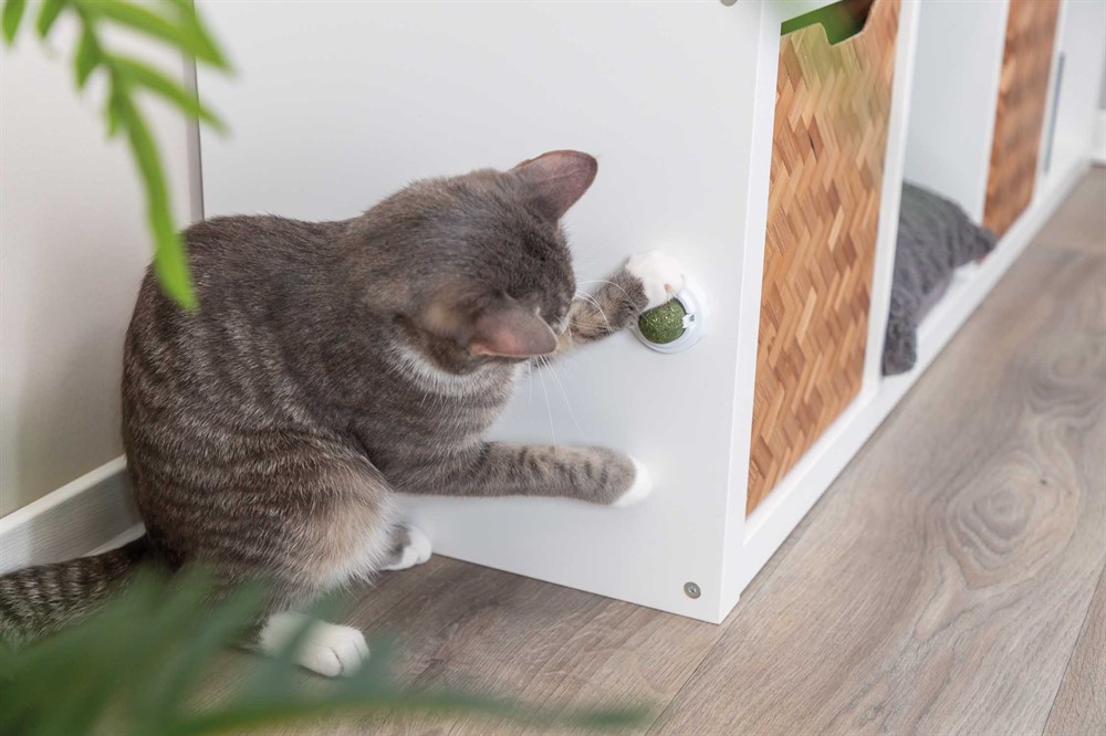 Trixie Catnipboll Med Hållare Ø 5cm - 8