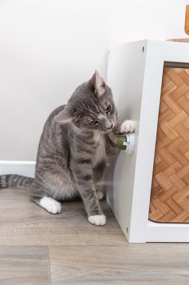 Trixie Catnipboll Med Hållare Ø 5cm - 10