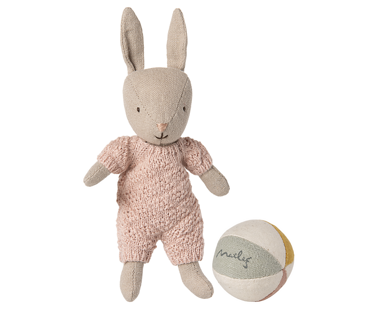 Rabbit set Micro Sand Rose