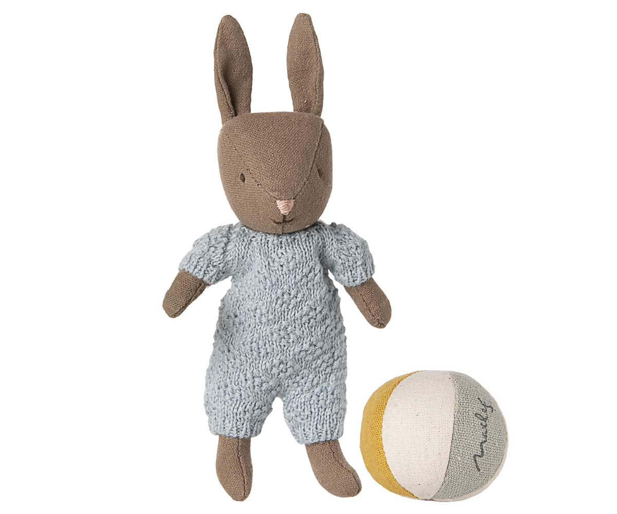 Rabbit set Micro Brown Blue
