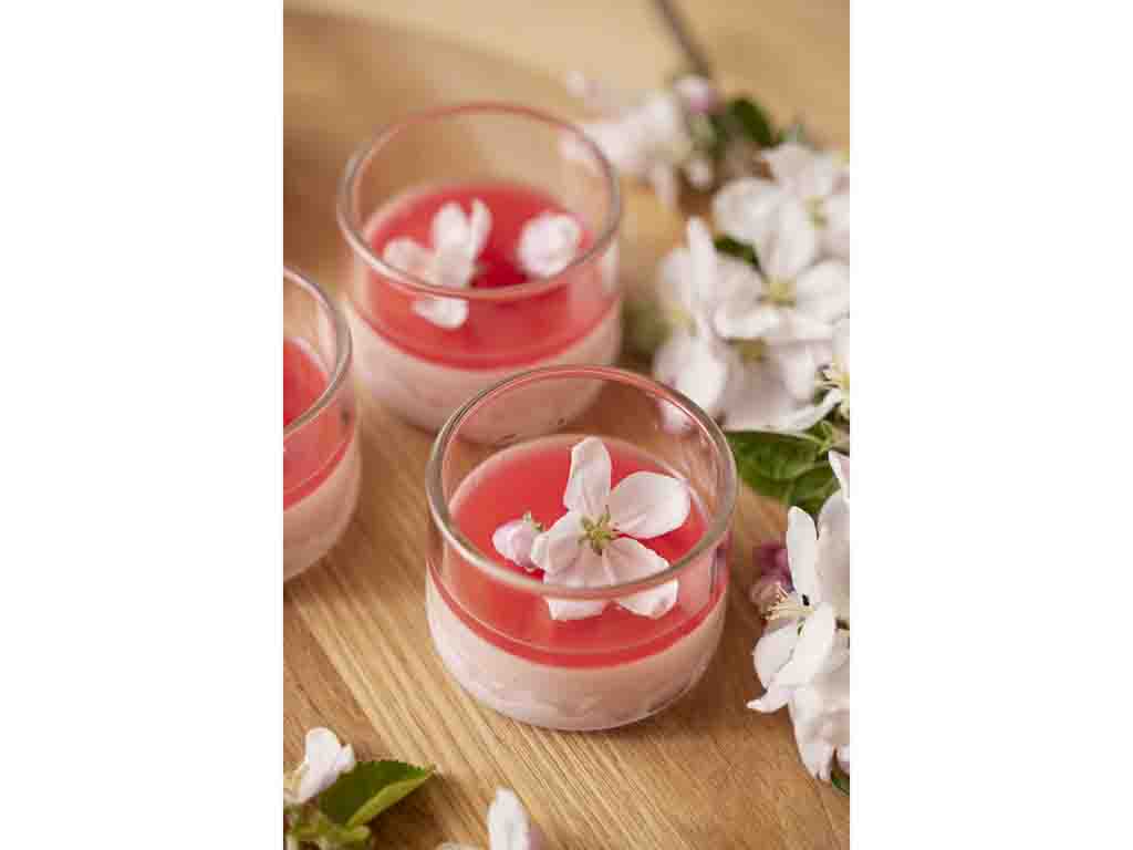 Blomsterbergs Dessertglas Diameter 8 cm 4 st Klar - 7