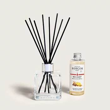 Maison Berger Orange Cinnamon Scented Sticks