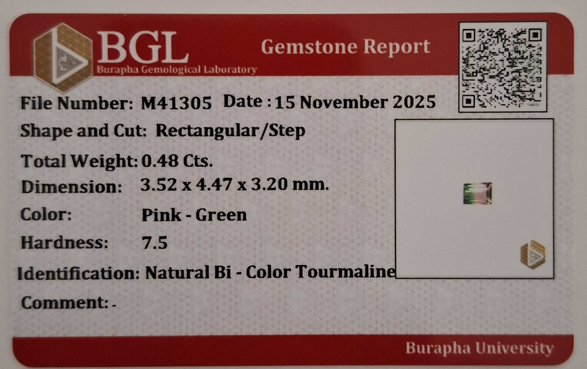 Turmalina bicolor rosa y verde natural certificada, súper rara - 4