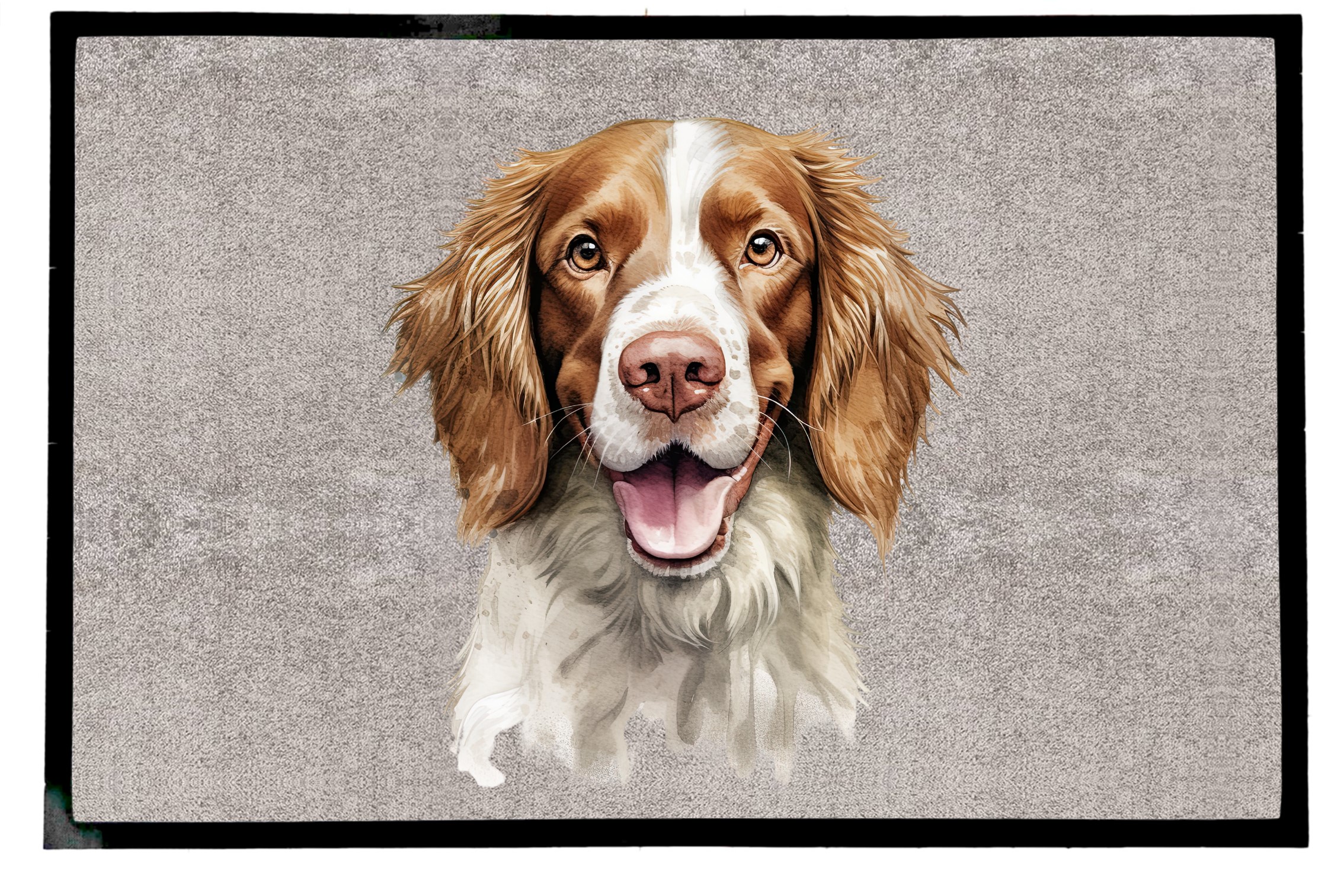 Dørmatte Engelsk setter 1