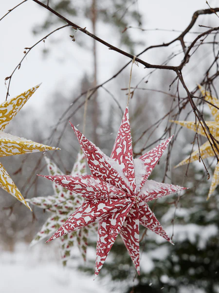 PAPPERSSTJÄRNOR - RED AND GREEN