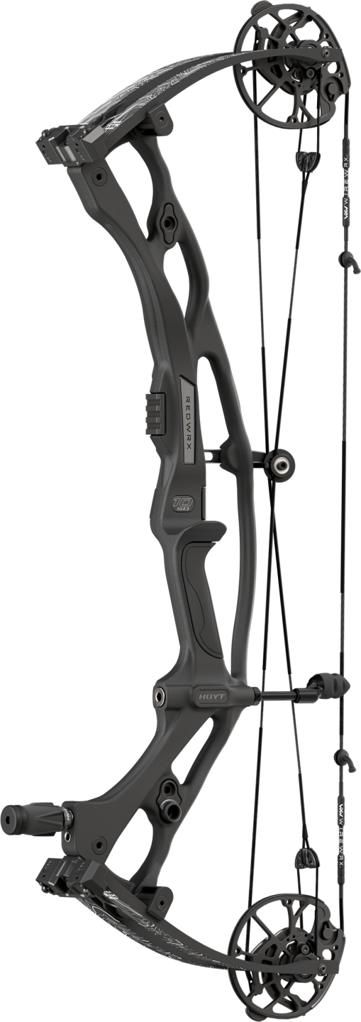 Carbon RX-10 SD