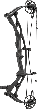 Carbon RX-10 SD