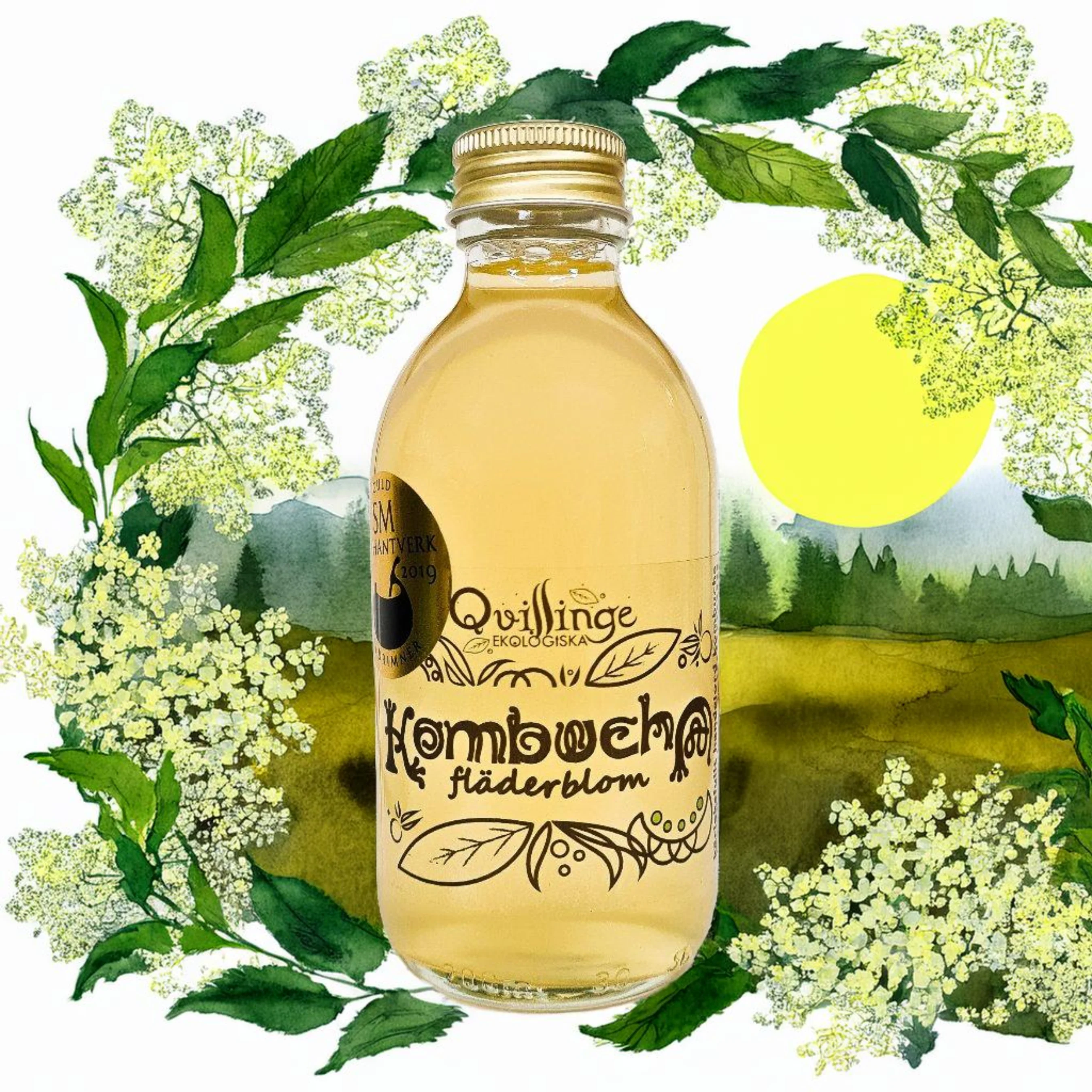  FLÄDERBLOM EKO KOMBUCHA 20cl 