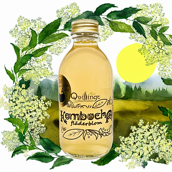  FLÄDERBLOM EKO KOMBUCHA 20cl 