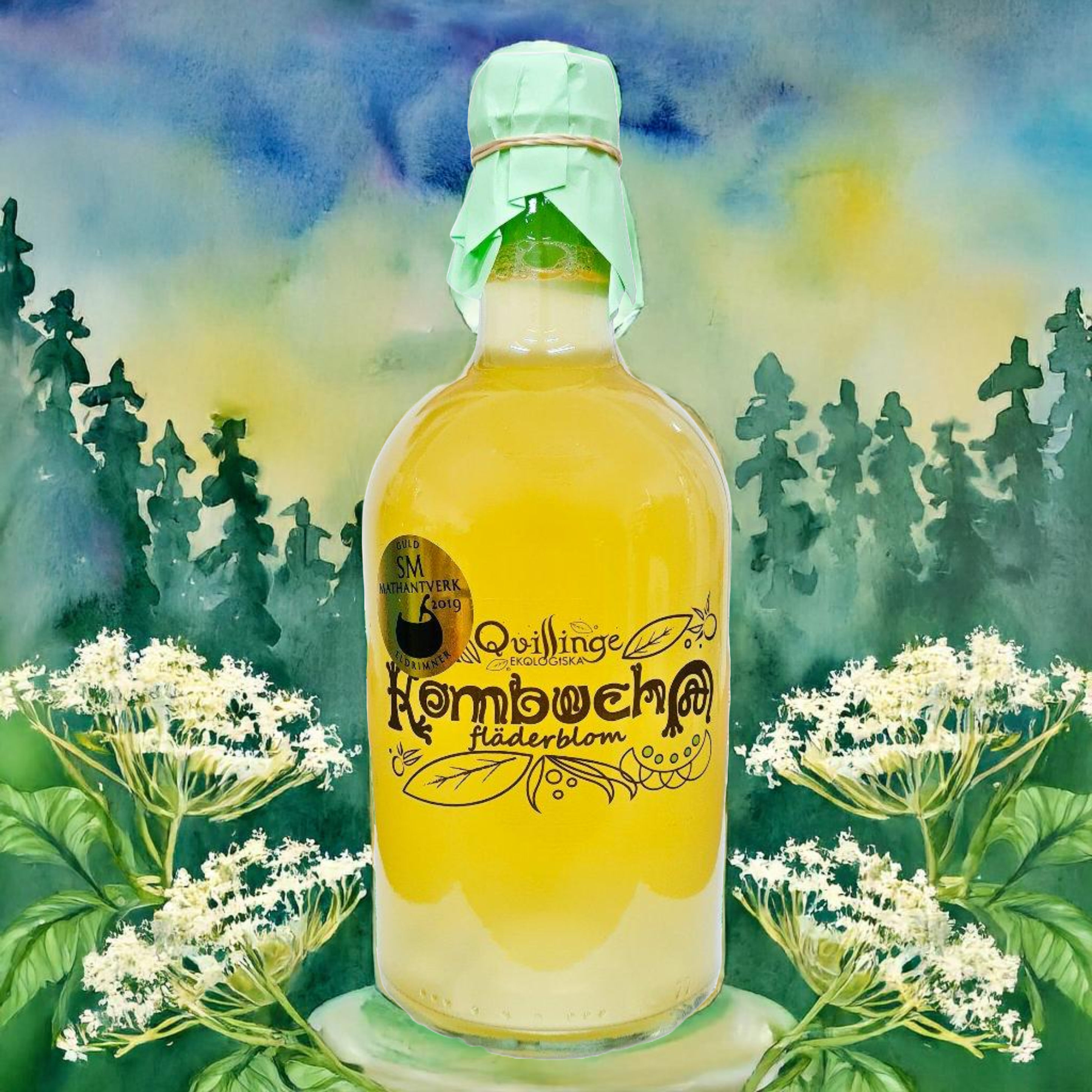 FLÄDERBLOM EKO KOMBUCHA 70cl