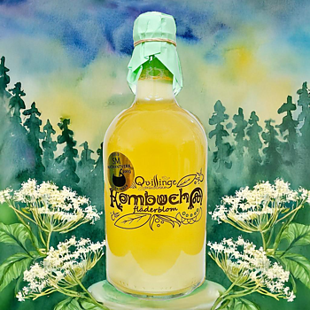 FLÄDERBLOM EKO KOMBUCHA 70cl