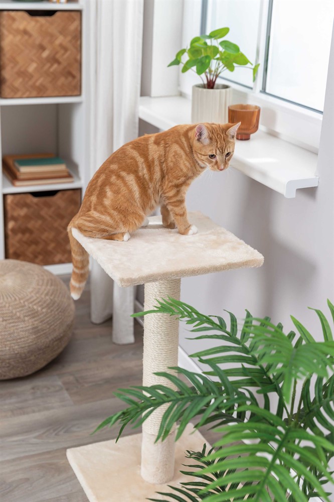 Klöspelare Baena 69cm, beige - 2