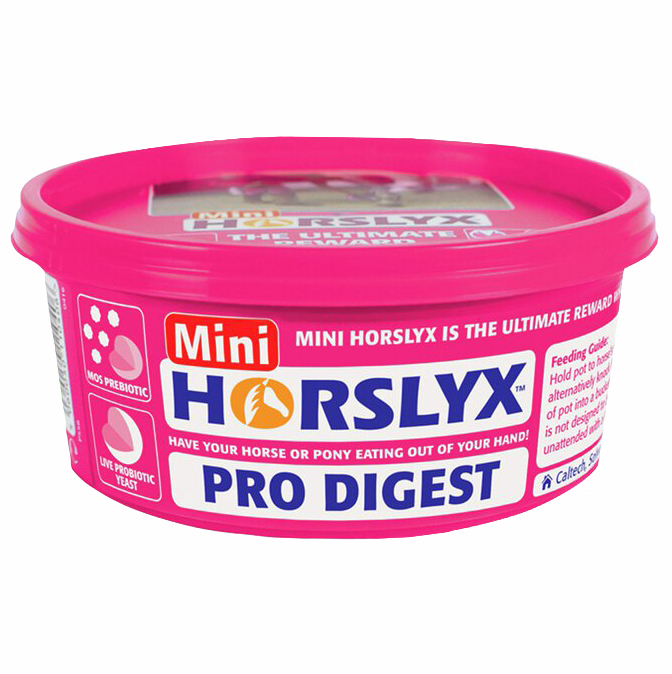 Horslyx - Digestion Balancer 650g