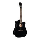 Cort Earth60CEBK