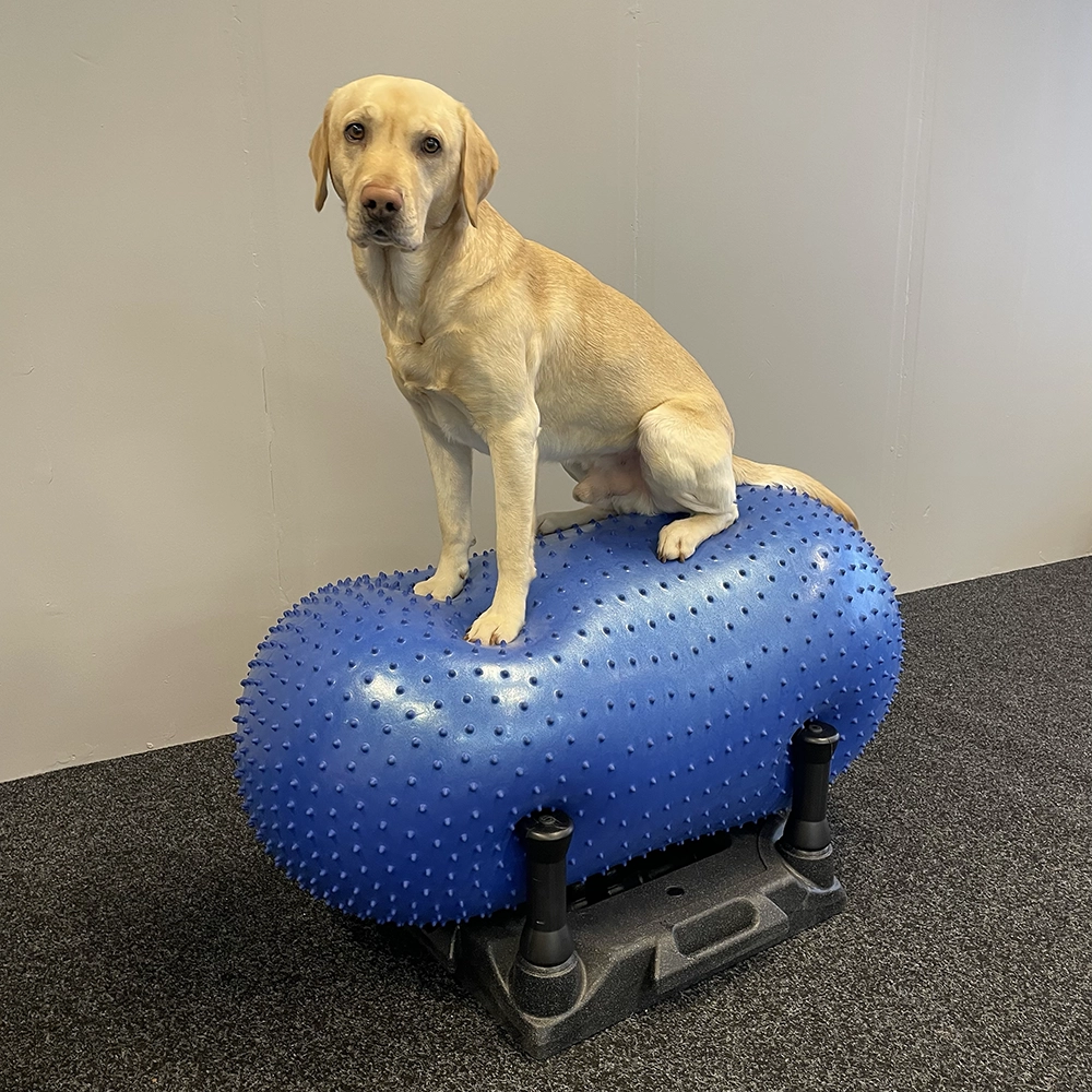 Ställning att hålla fast balansboll Peanut äggboll Klimb