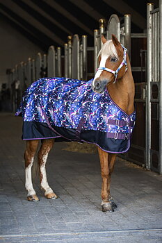 HG Josh 100g utedekken 75-165 cm Dutch Blue