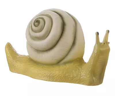 Snail lamp