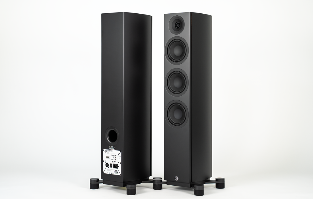 System Audio Legend 40.2 Silverback DS - 3