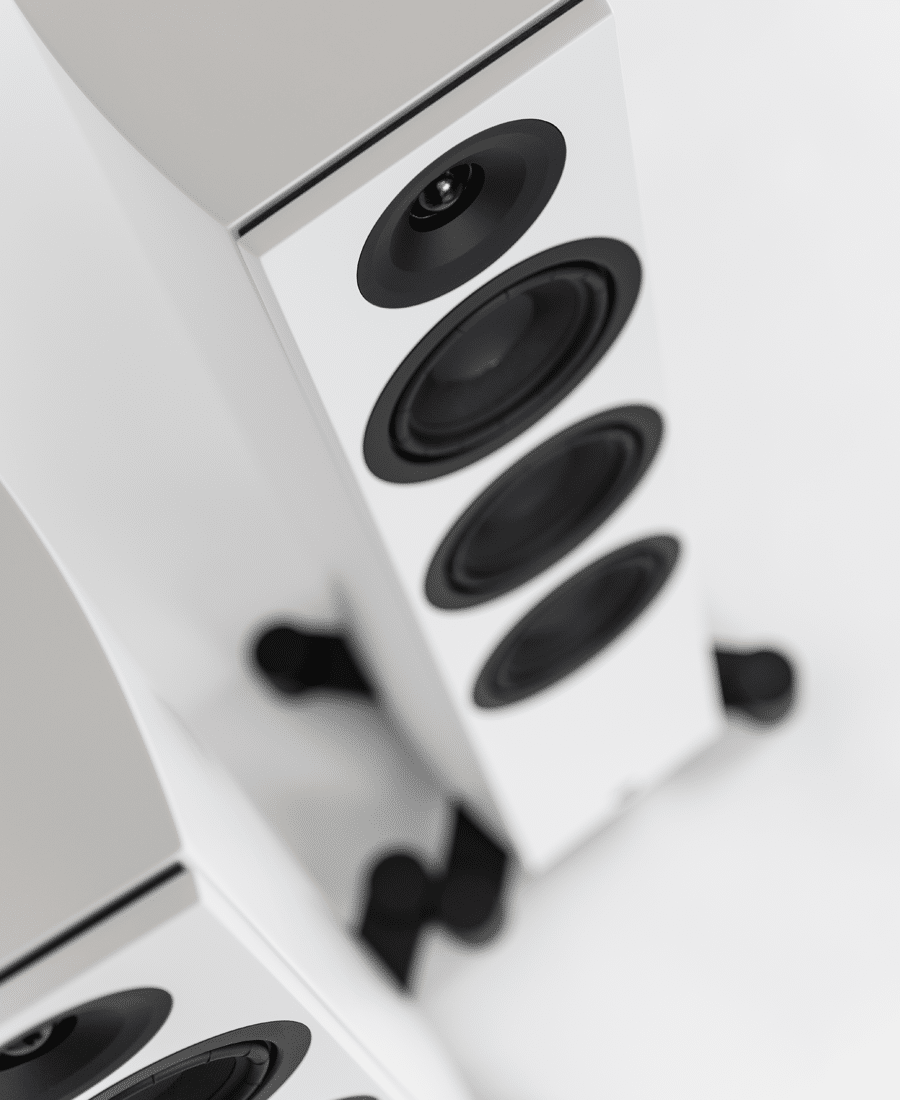 System Audio Legend 40.2 Silverback DS - 5