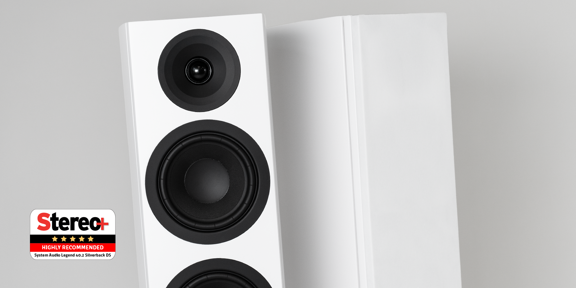 System Audio Legend 40.2 Silverback DS - 12