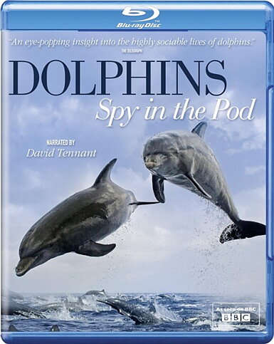 Dolphins: Spy In The Pod (BLU-RAY)