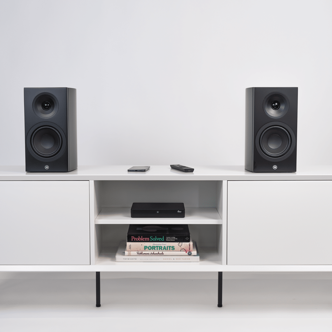 System Audio Legend 5.2 Silverback DS - 6