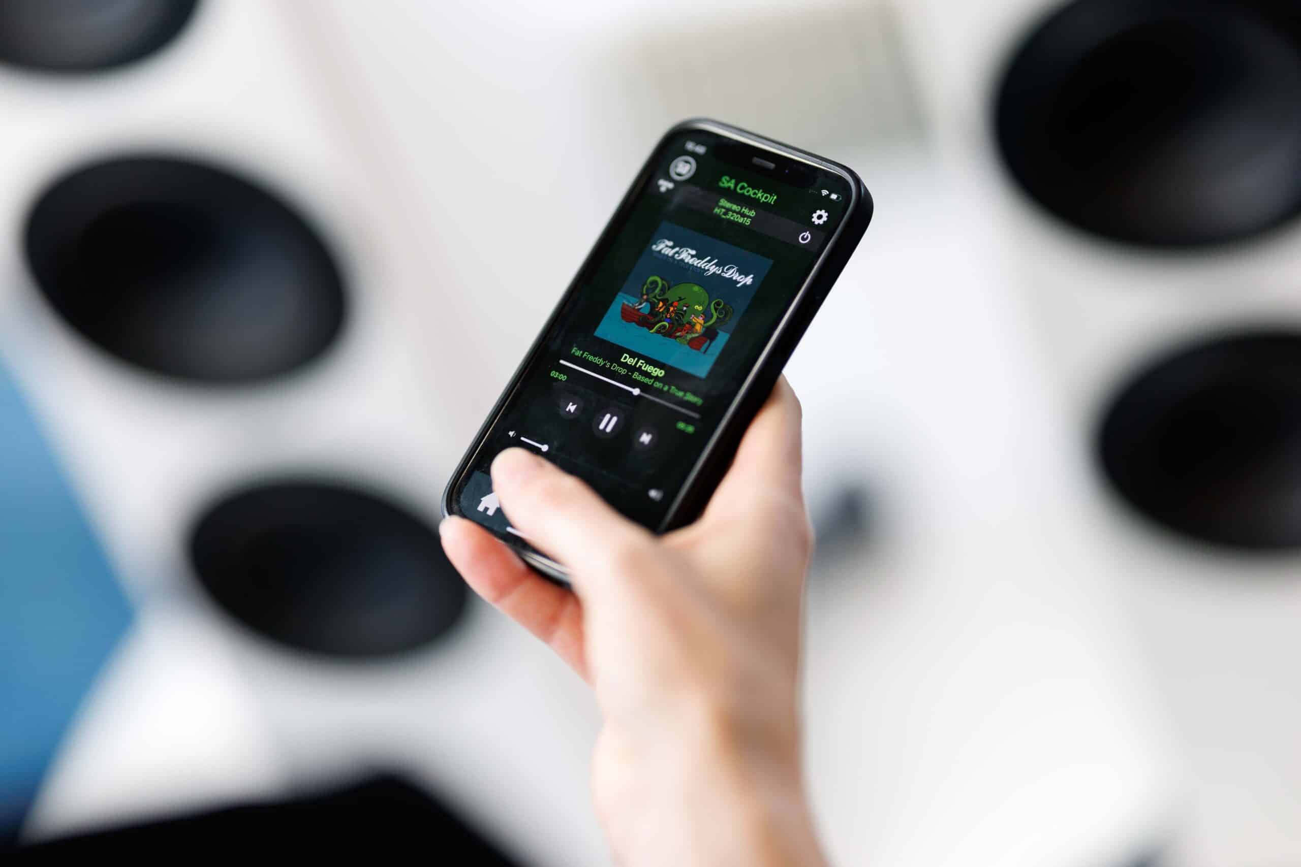 System Audio Legend 5.2 Silverback DS - 4