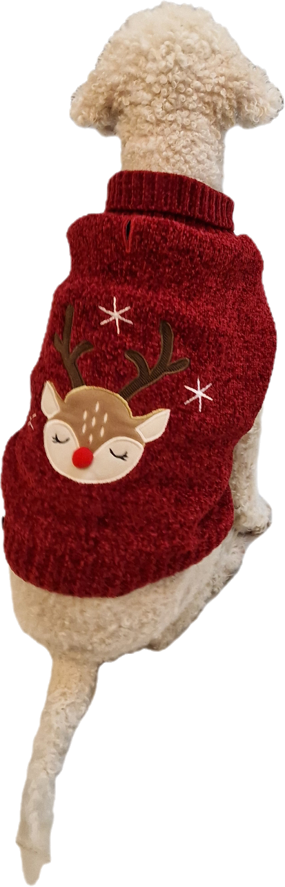 Stickad jultröja, Rudolf - 2