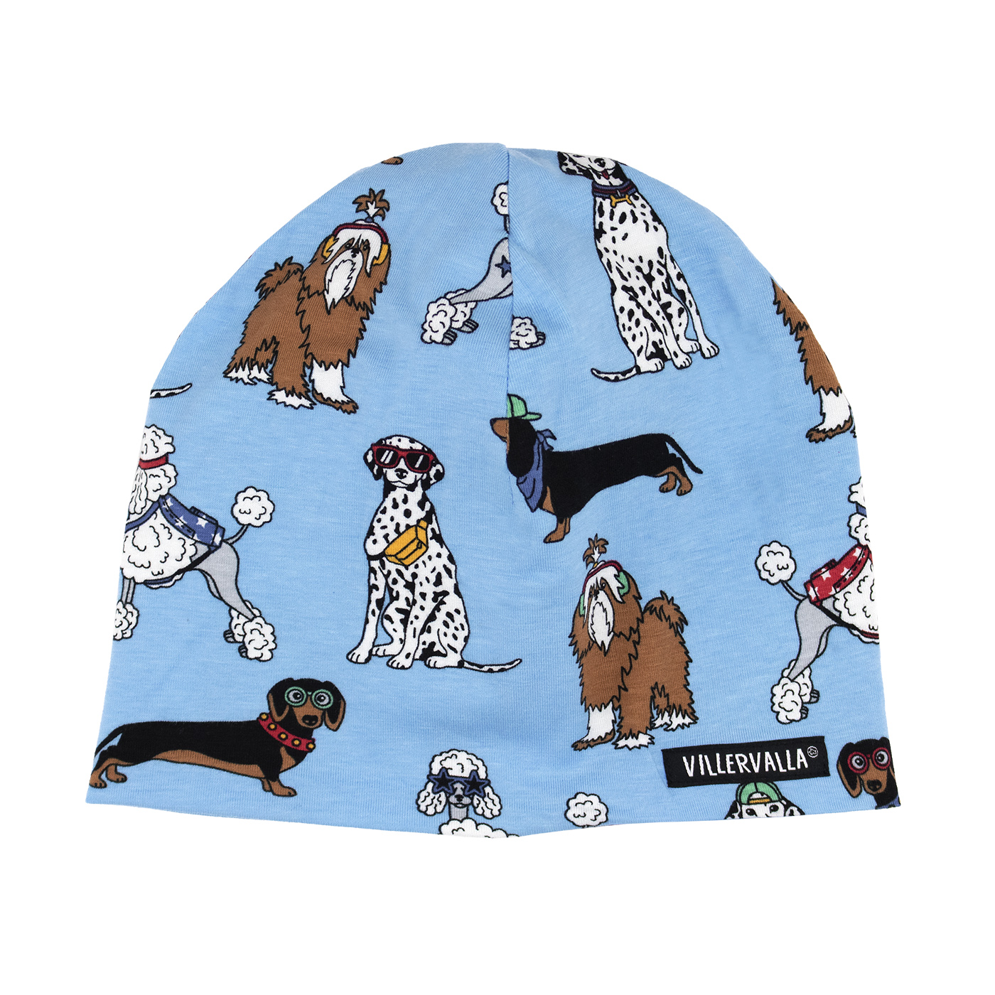 beanie FUNKY DOGS BAY