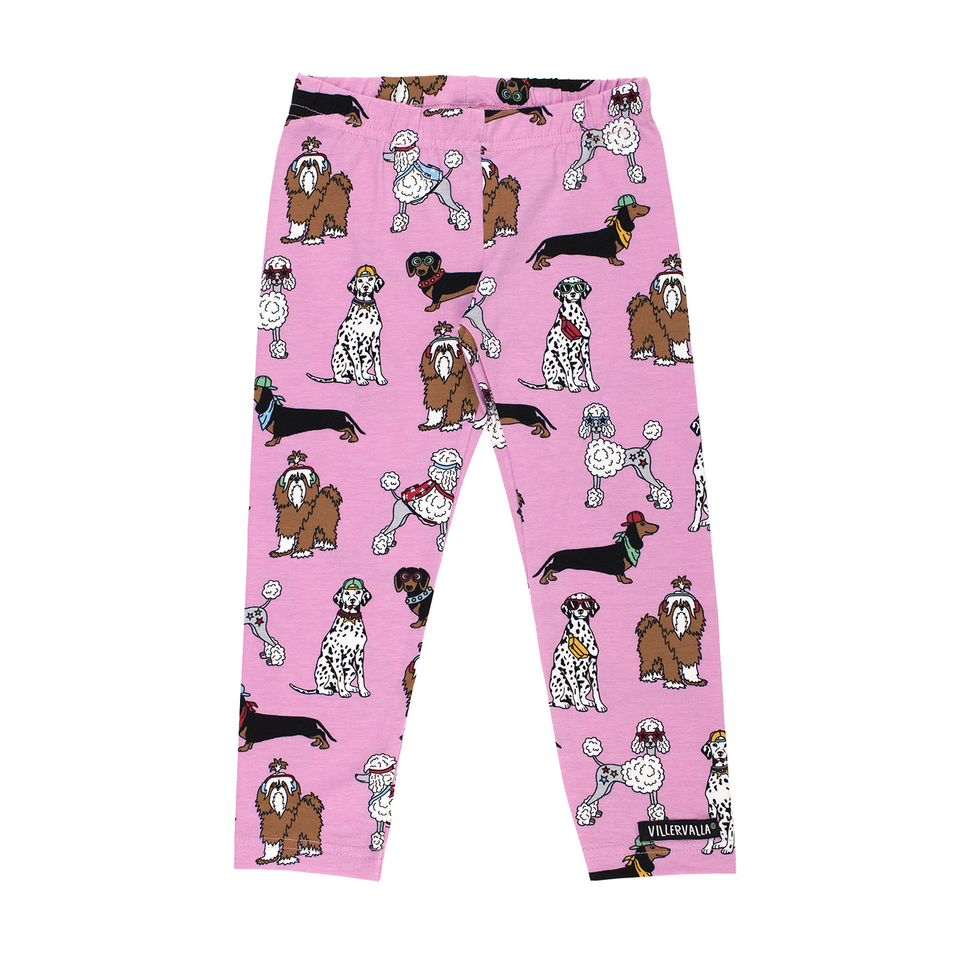 tights FUNKY DOGS BLOSSOM