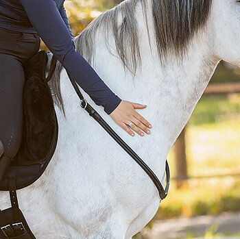 Balance Rein / halsring  / cordeo, QHP Liberta (läder), svart