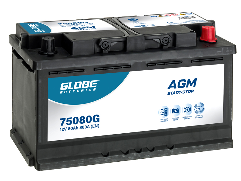 Globe AGM 80Ah batteri 12 V 80 Ah CCA 800 A (EN) 