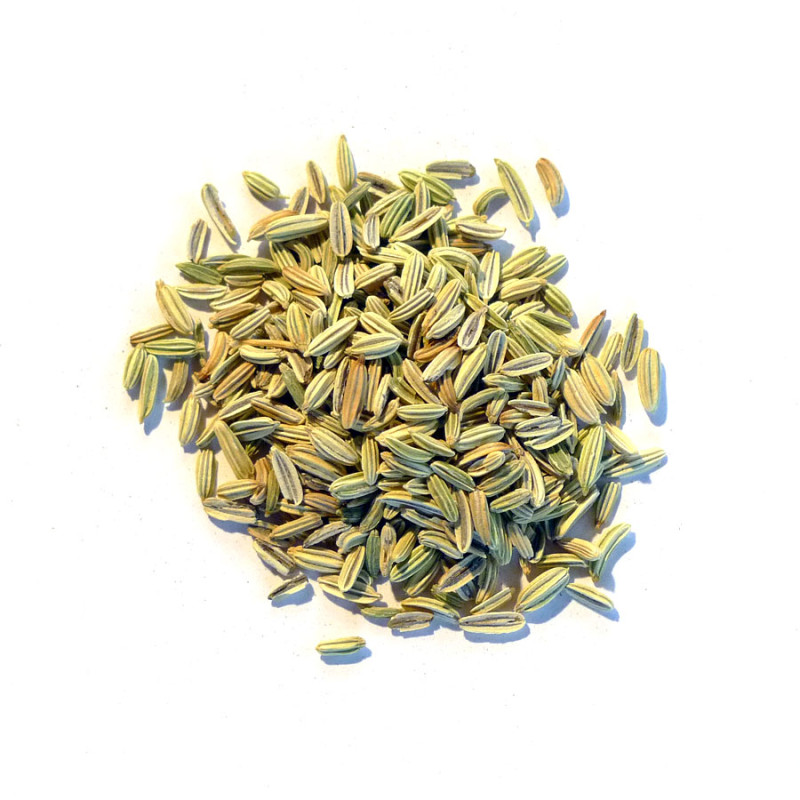 Fänkål hel EKO 40g Herbaria - 2